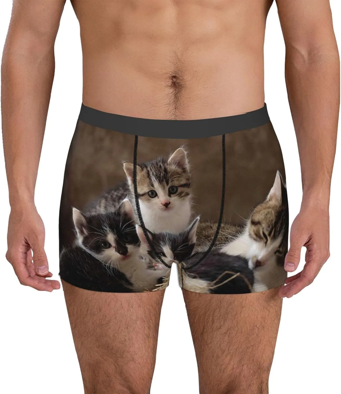 Cat Family Print Boxer Briefs For Men Breathable Underwear-
