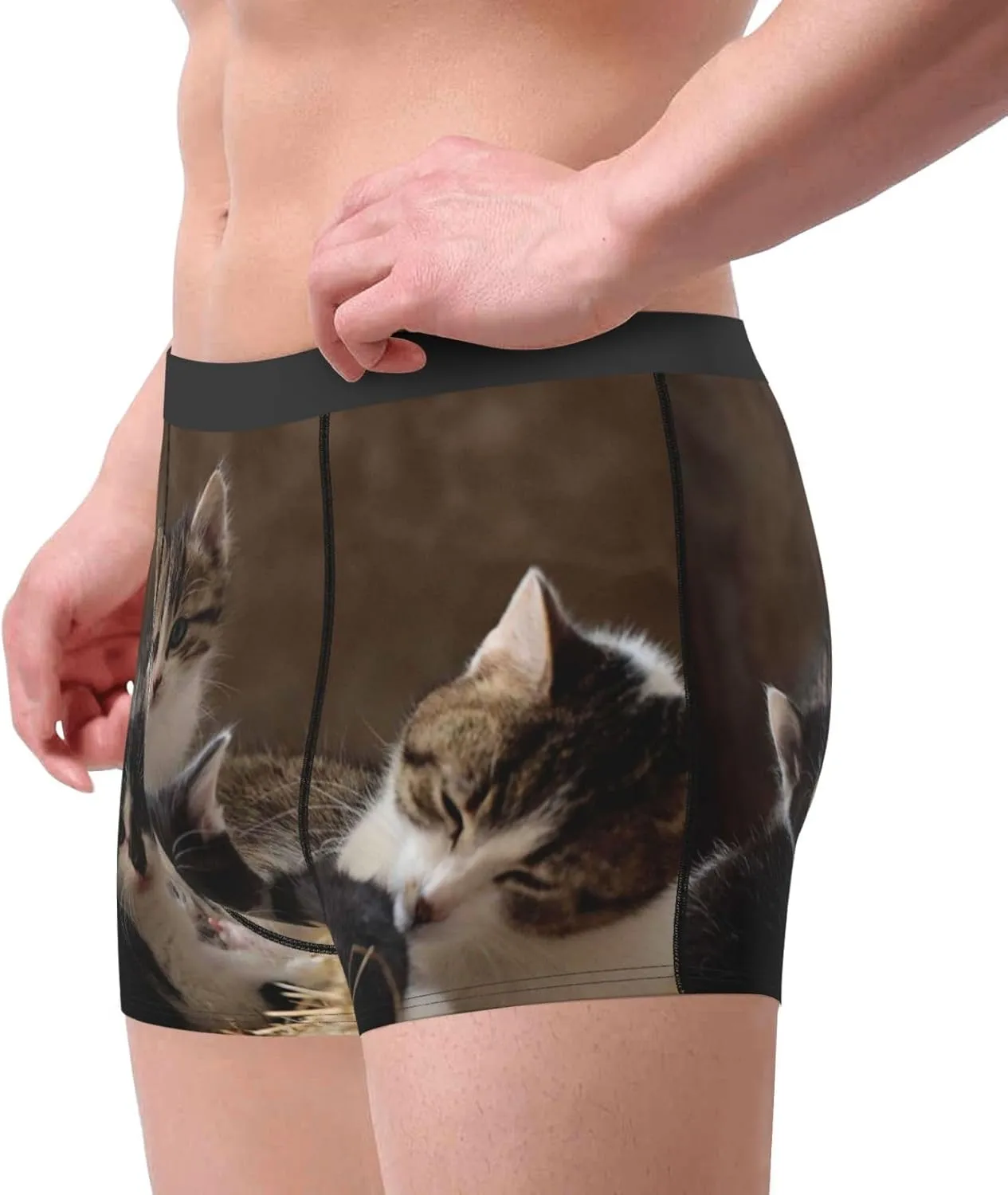 Cat Family Print Boxer Briefs For Men Breathable Underwear-