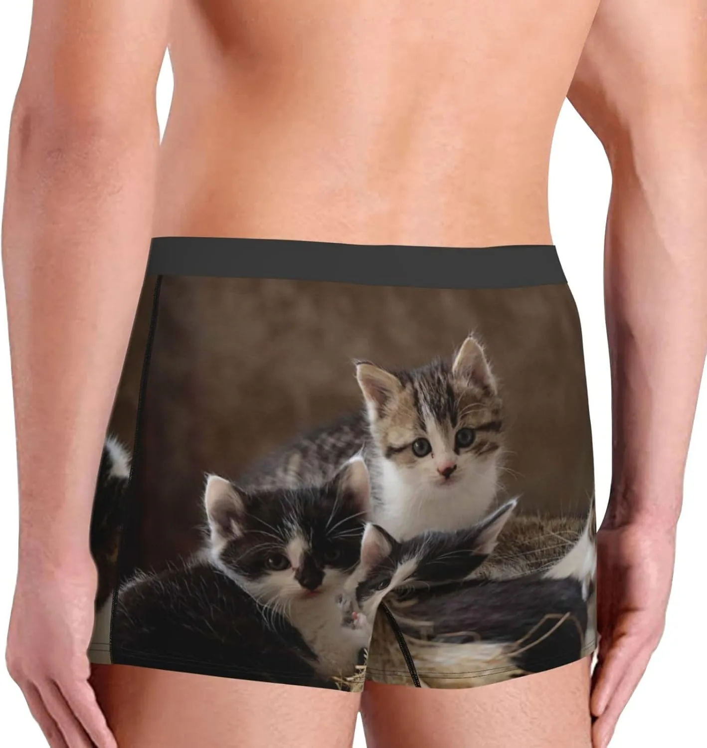 Cat Family Print Boxer Briefs For Men Breathable Underwear-