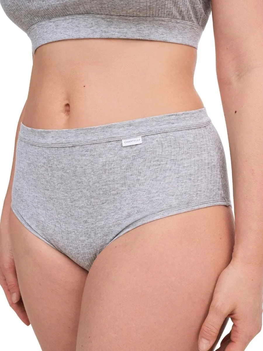 Chantelle Women's Cotton Comfort High Waist Brief