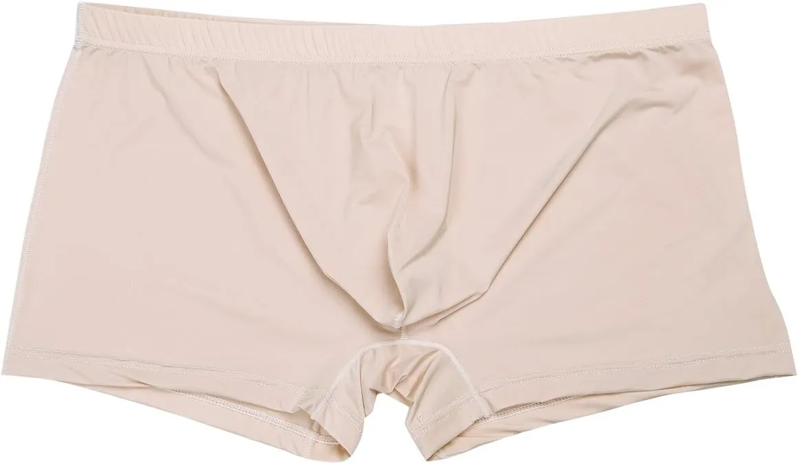 CHICTRY Men's Breathable Ice Silk Boxer Briefs Bikini Underwear