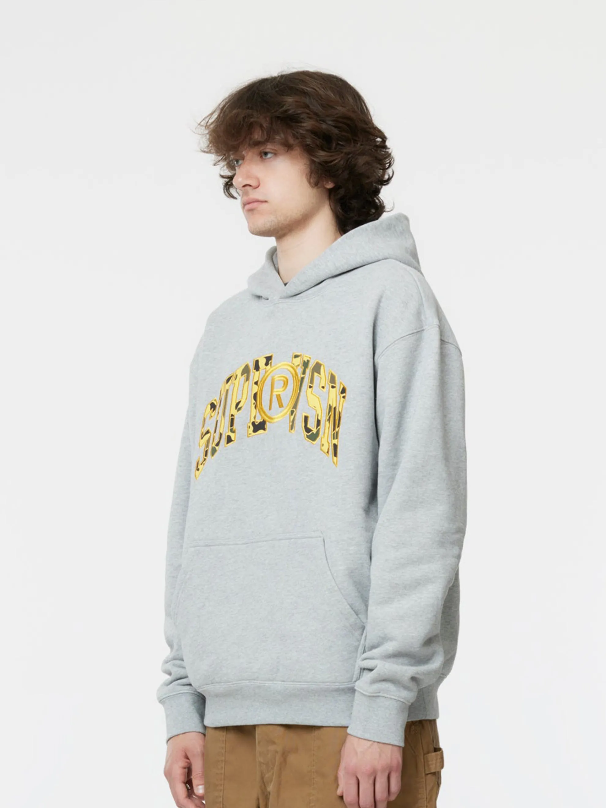COLLEGIATE HOODIE