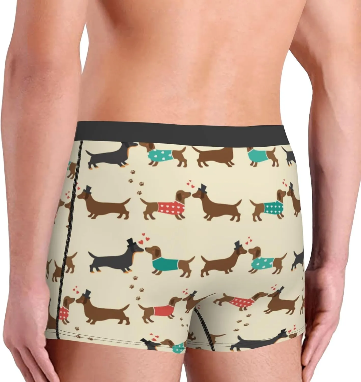 Dachshund Dog Print Boxer Briefs For Men Breathable Underwear-