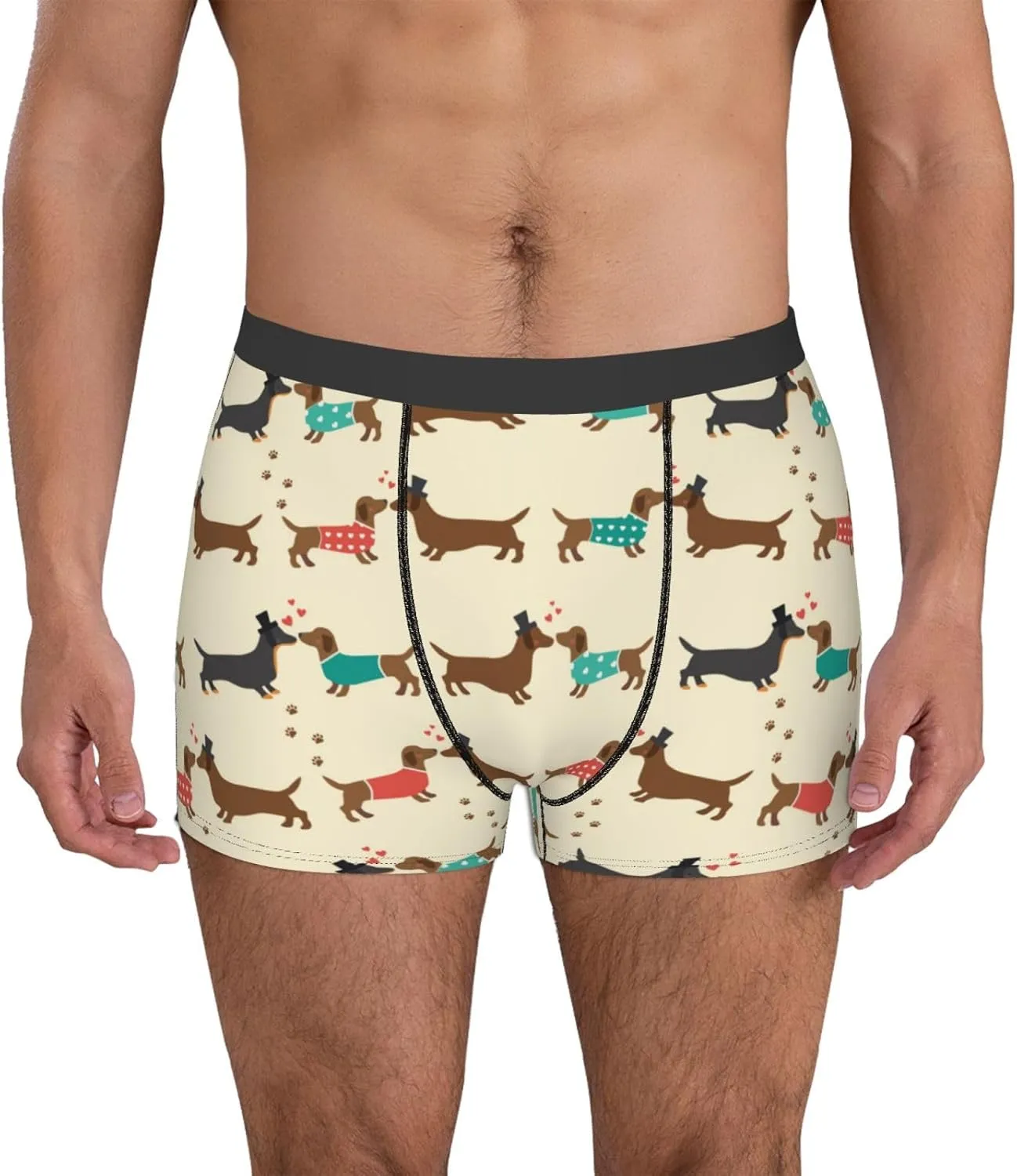 Dachshund Dog Print Boxer Briefs For Men Breathable Underwear-
