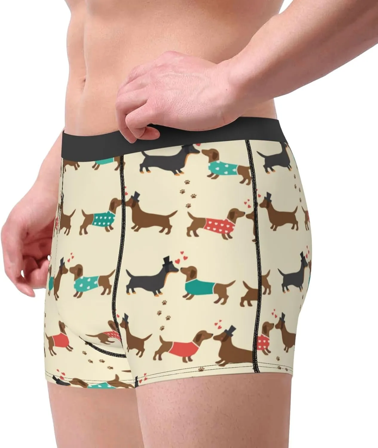 Dachshund Dog Print Boxer Briefs For Men Breathable Underwear-