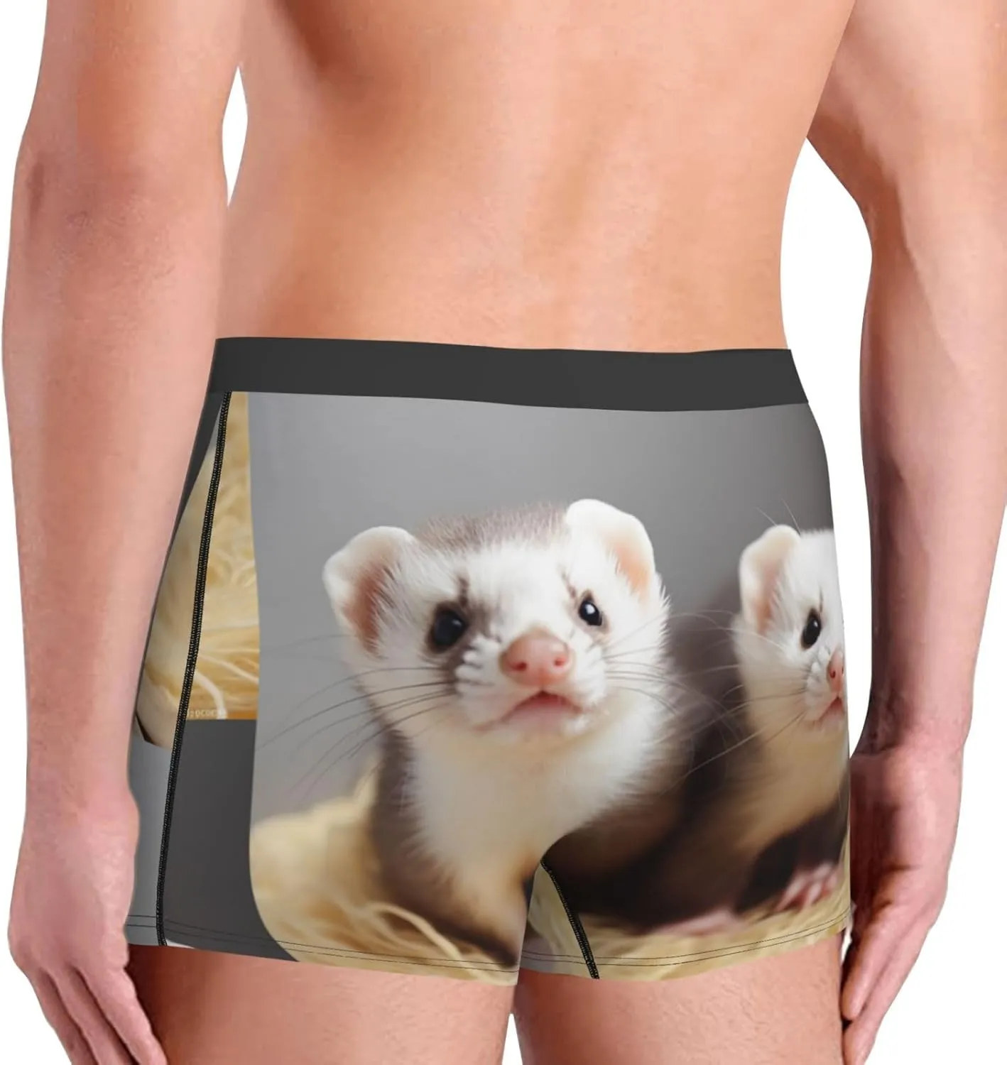 Ferrets Men's Boxer Briefs Soft Breathable Underwear Stretch Moisture-Wicking Trunks Tagless