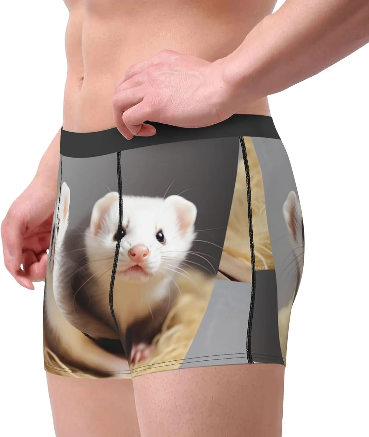Ferrets Men's Boxer Briefs Soft Breathable Underwear Stretch Moisture-Wicking Trunks Tagless