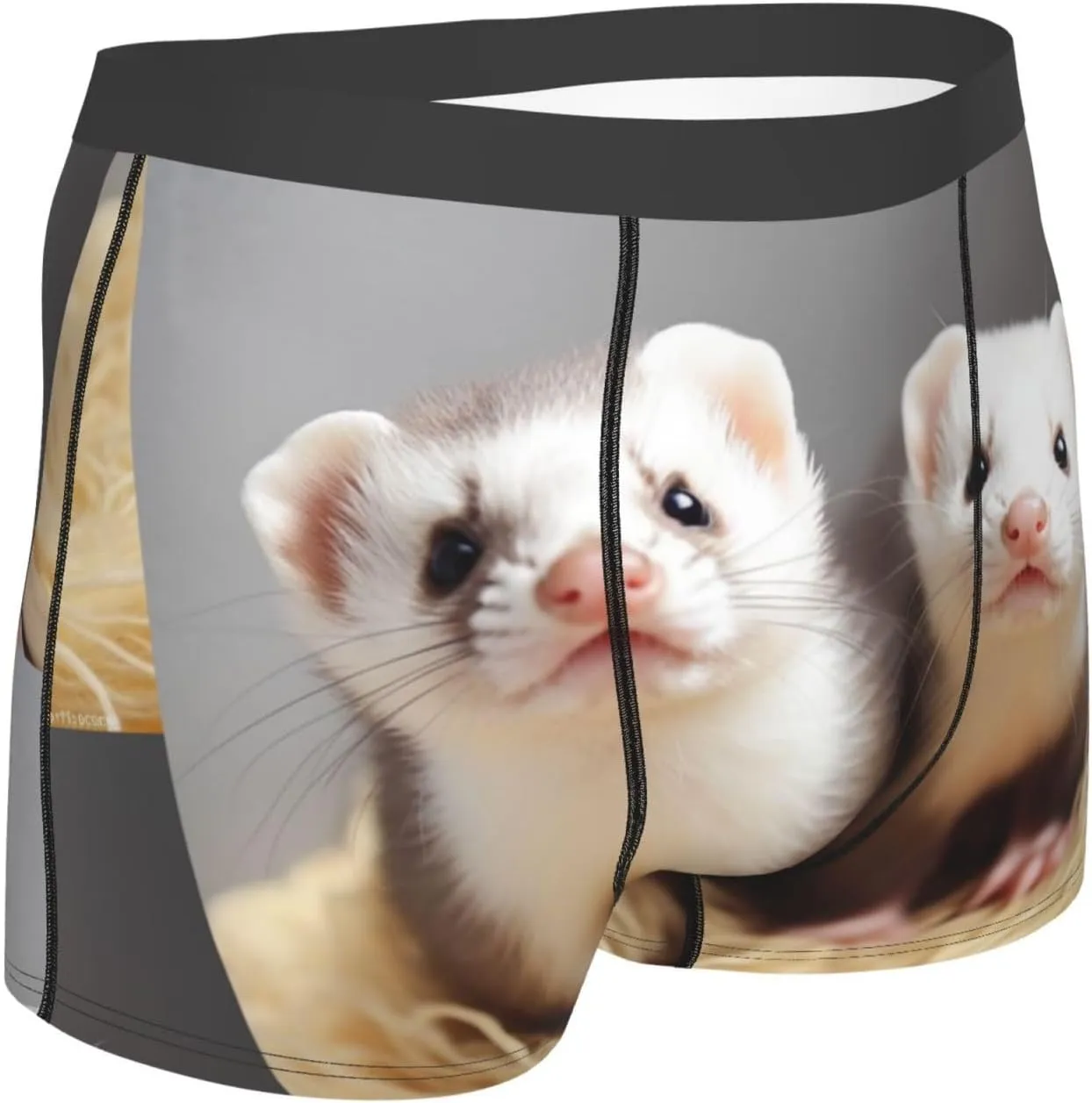 Ferrets Men's Boxer Briefs Soft Breathable Underwear Stretch Moisture-Wicking Trunks Tagless