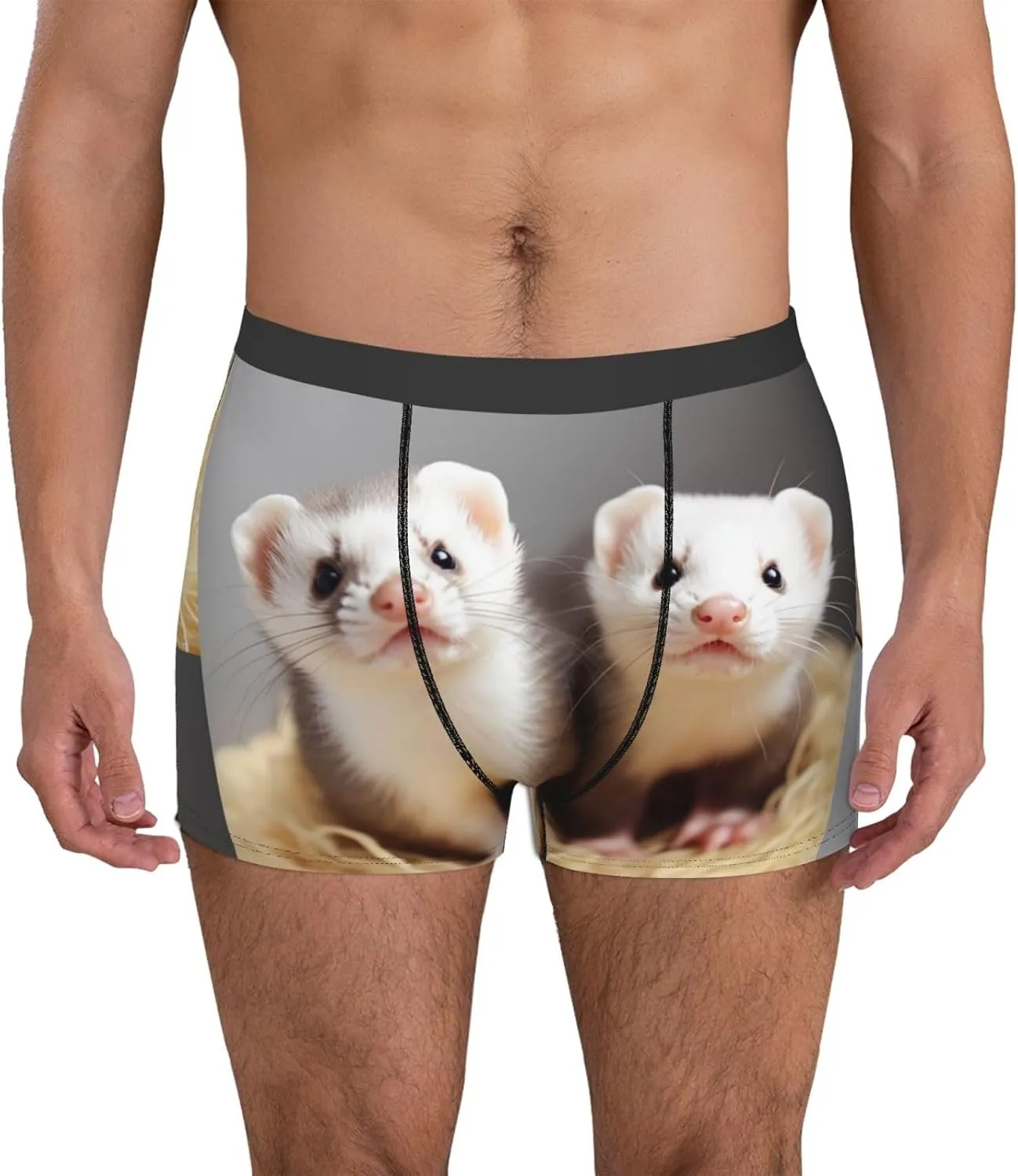 Ferrets Men's Boxer Briefs Soft Breathable Underwear Stretch Moisture-Wicking Trunks Tagless
