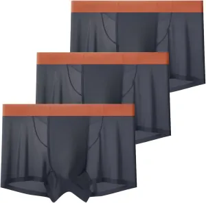 Ice Silk Men's Mesh Briefs - Ultra-thin, Soft and Breathable - Men's Seamless Breathable Boxer Briefs 3pcs (US, Alpha, Large, Regular, Regular, Black 3pcs)