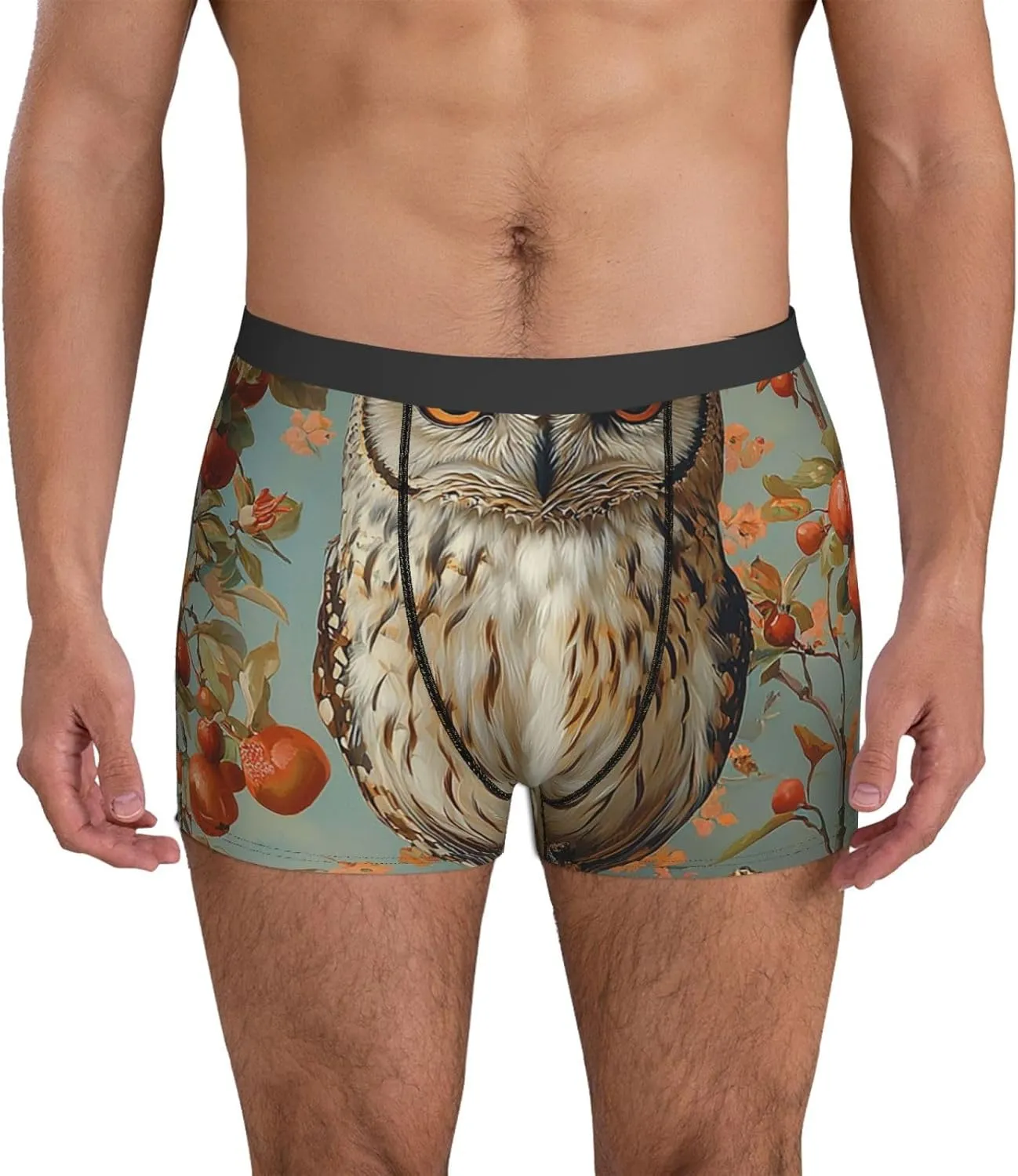 Men's Underwear Boxer Briefs Soft Breathable Stretch - Owl Vintage
