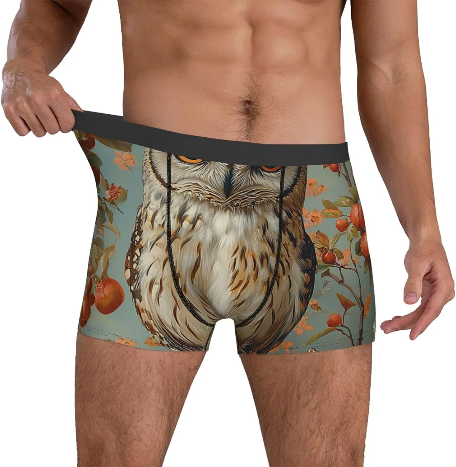 Men's Underwear Boxer Briefs Soft Breathable Stretch - Owl Vintage