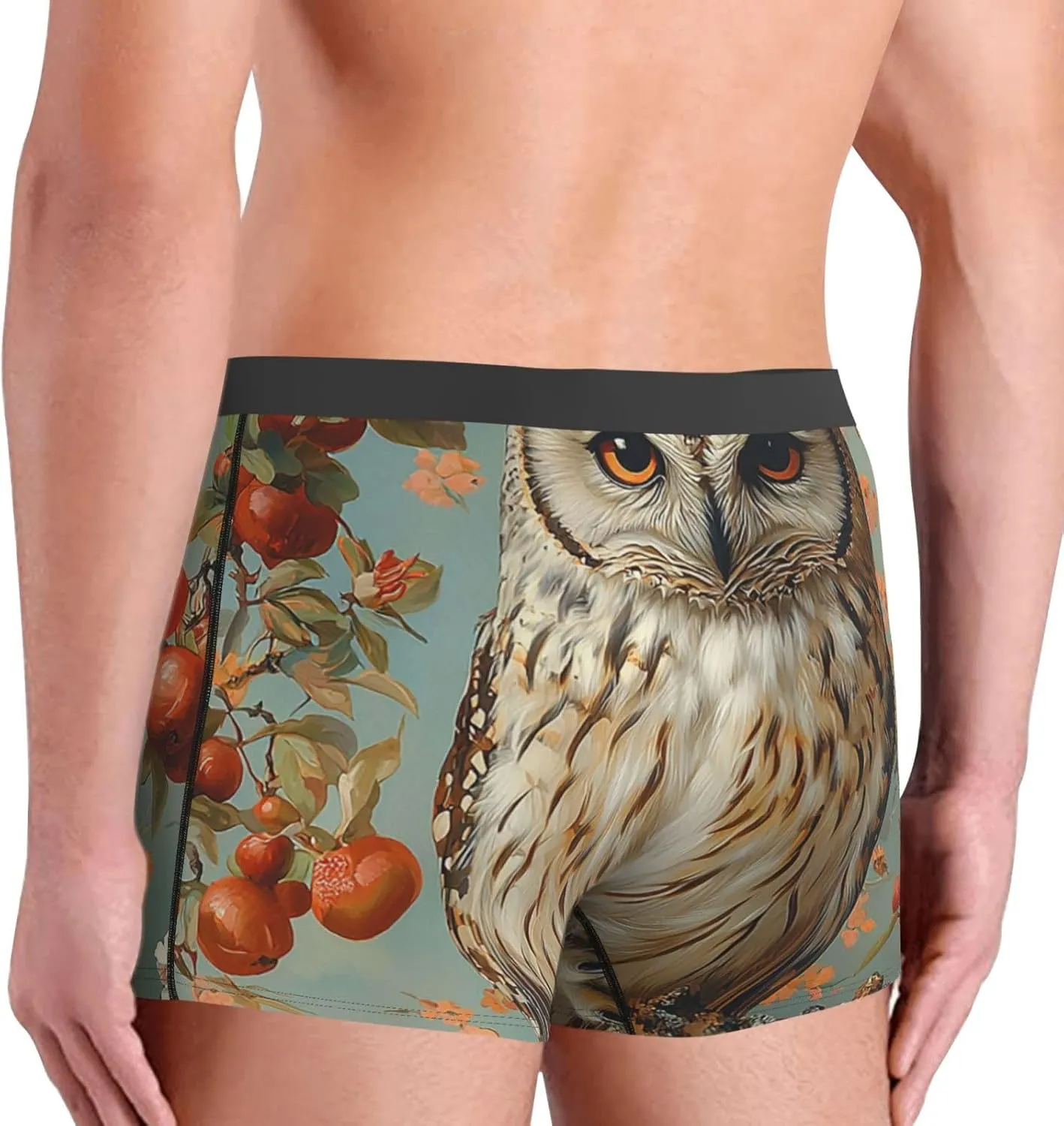 Men's Underwear Boxer Briefs Soft Breathable Stretch - Owl Vintage