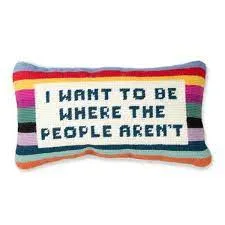 Needlepoint Pillows