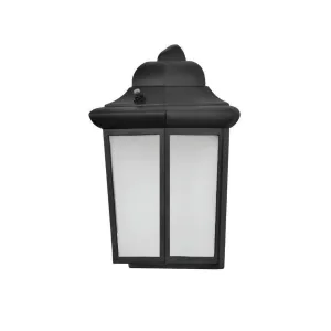 Patriot 12 in. LED Outdoor Wall Light Black Finish