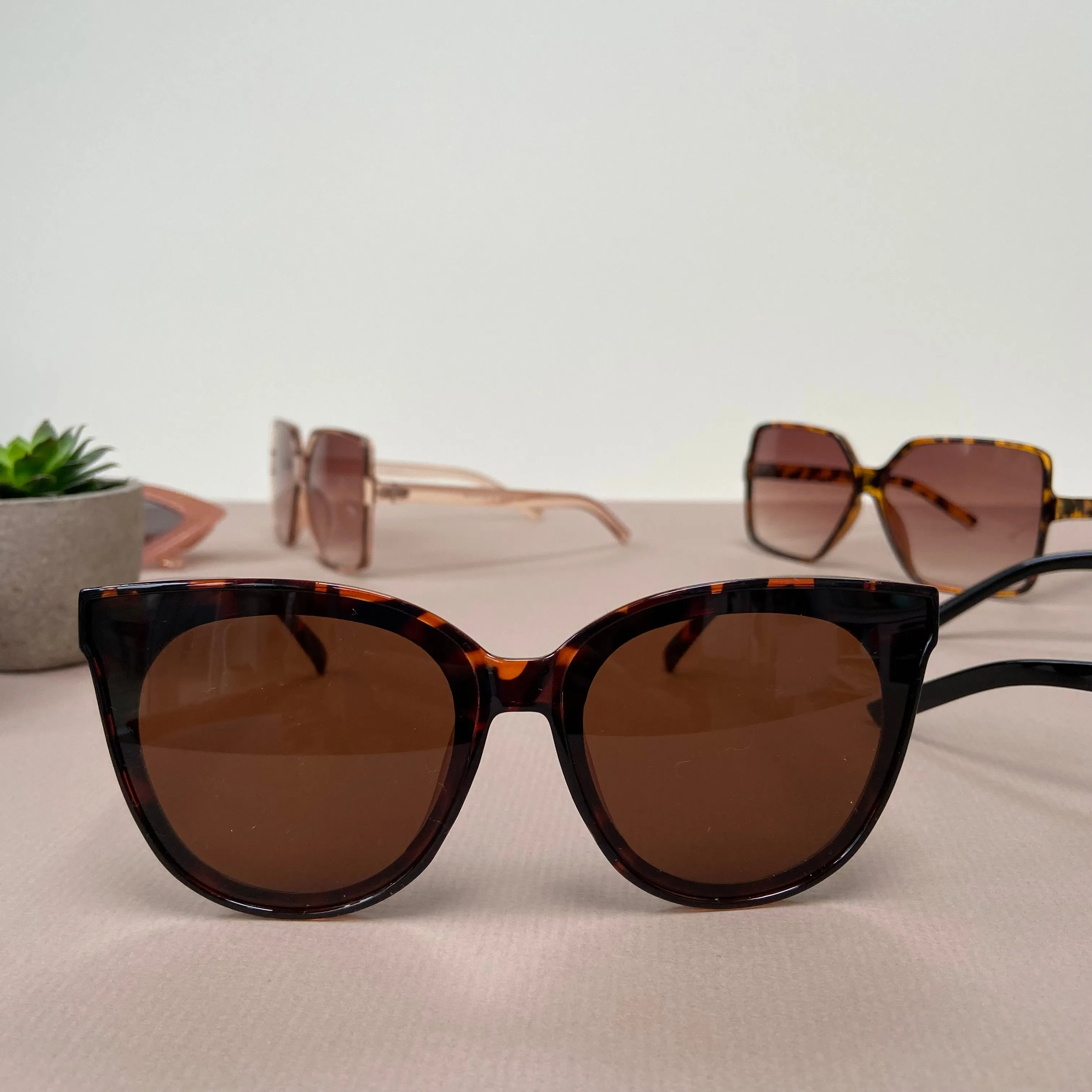 Round Retro Cat Eye Sunglasses