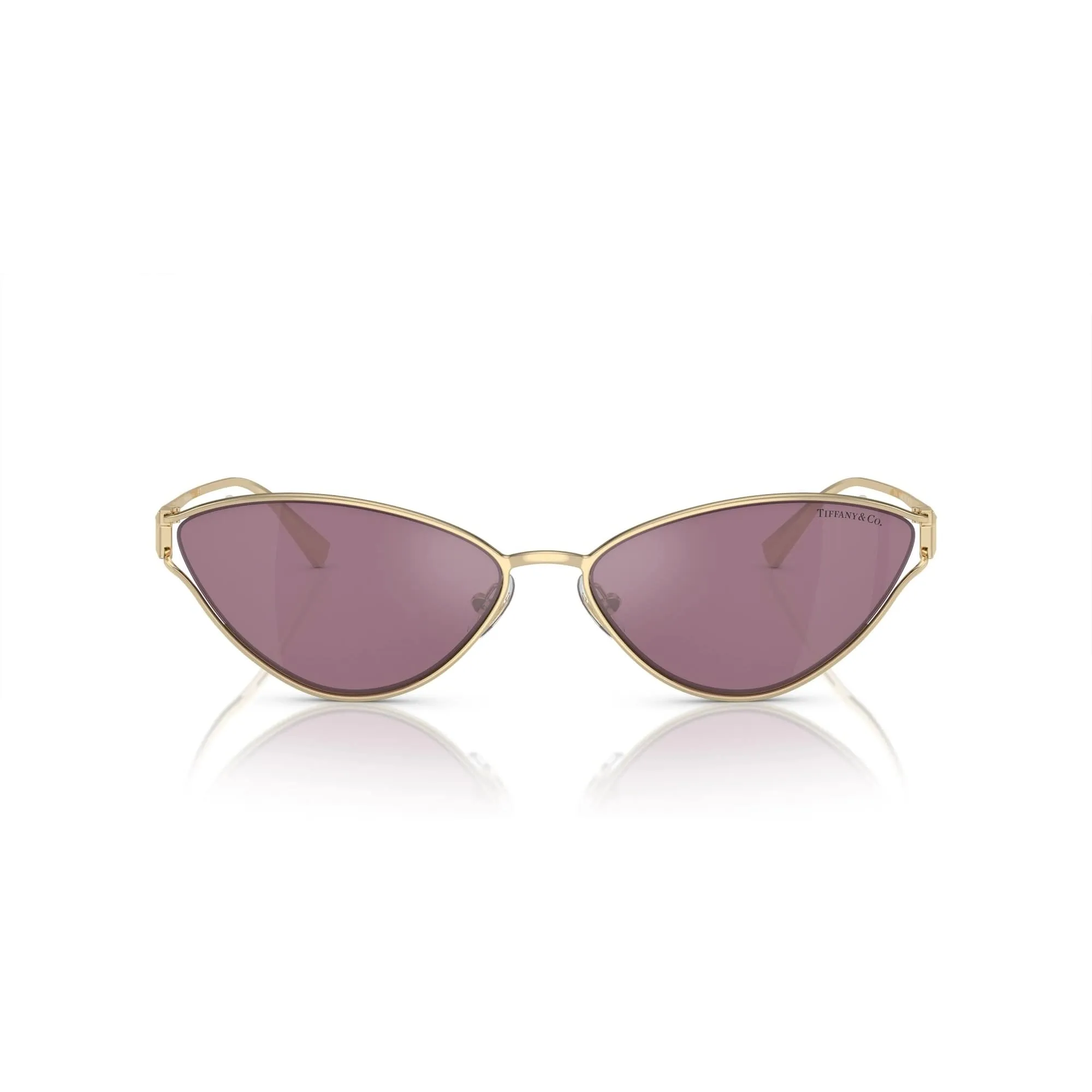 TIFFANY & CO 3095 6194/AK 61
