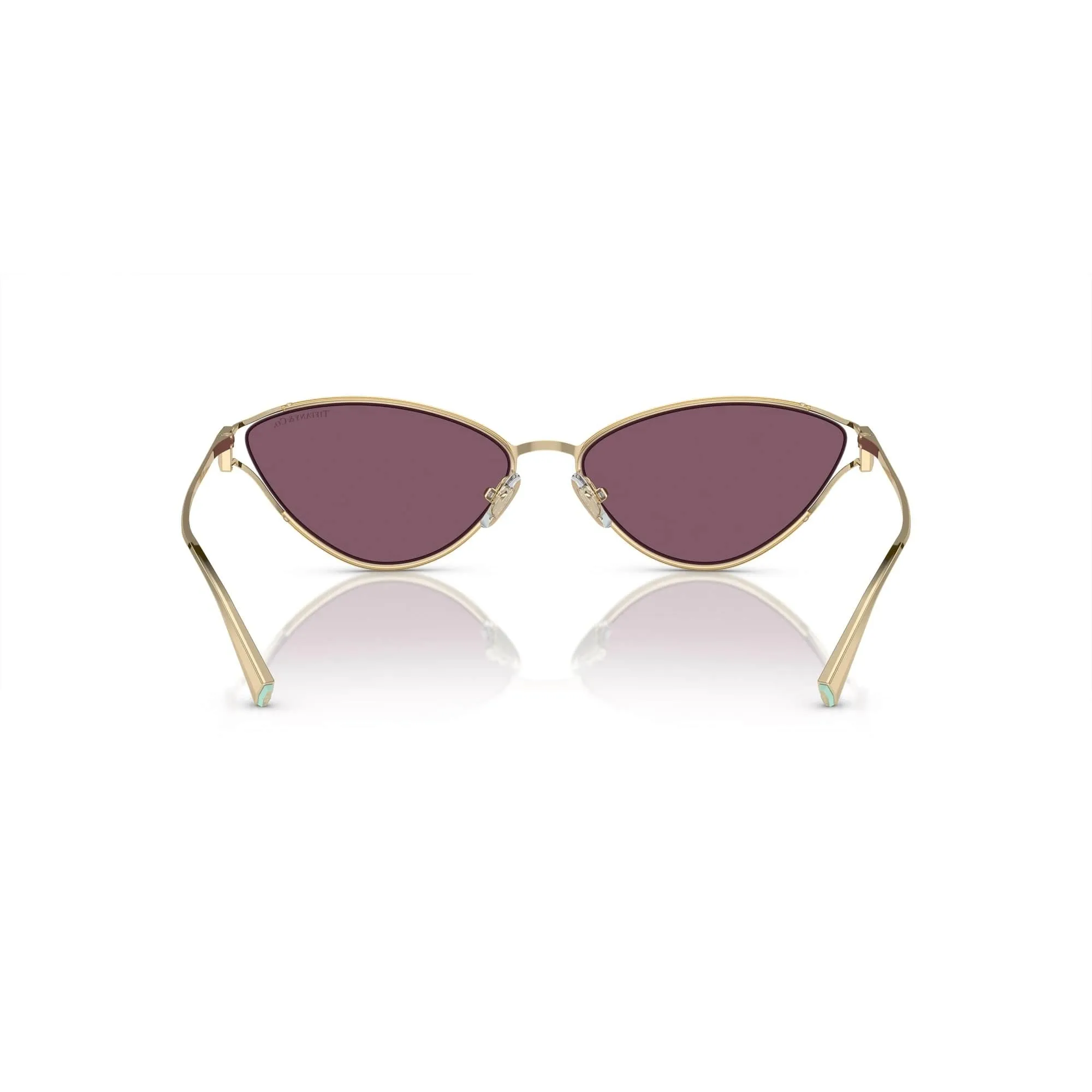 TIFFANY & CO 3095 6194/AK 61