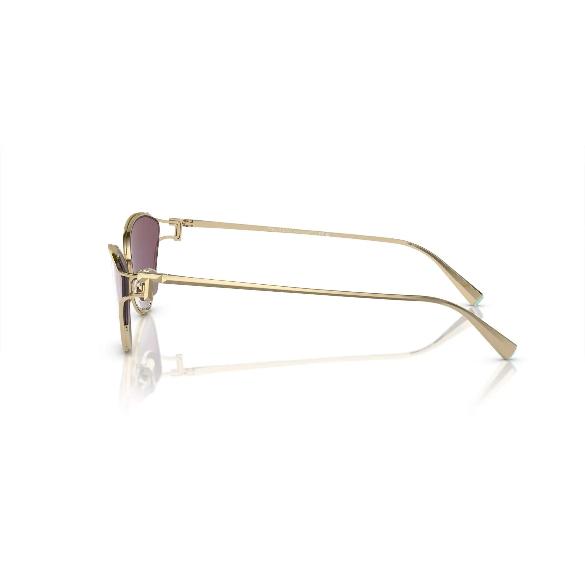 TIFFANY & CO 3095 6194/AK 61