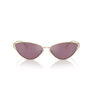 TIFFANY & CO 3095 6194/AK 61