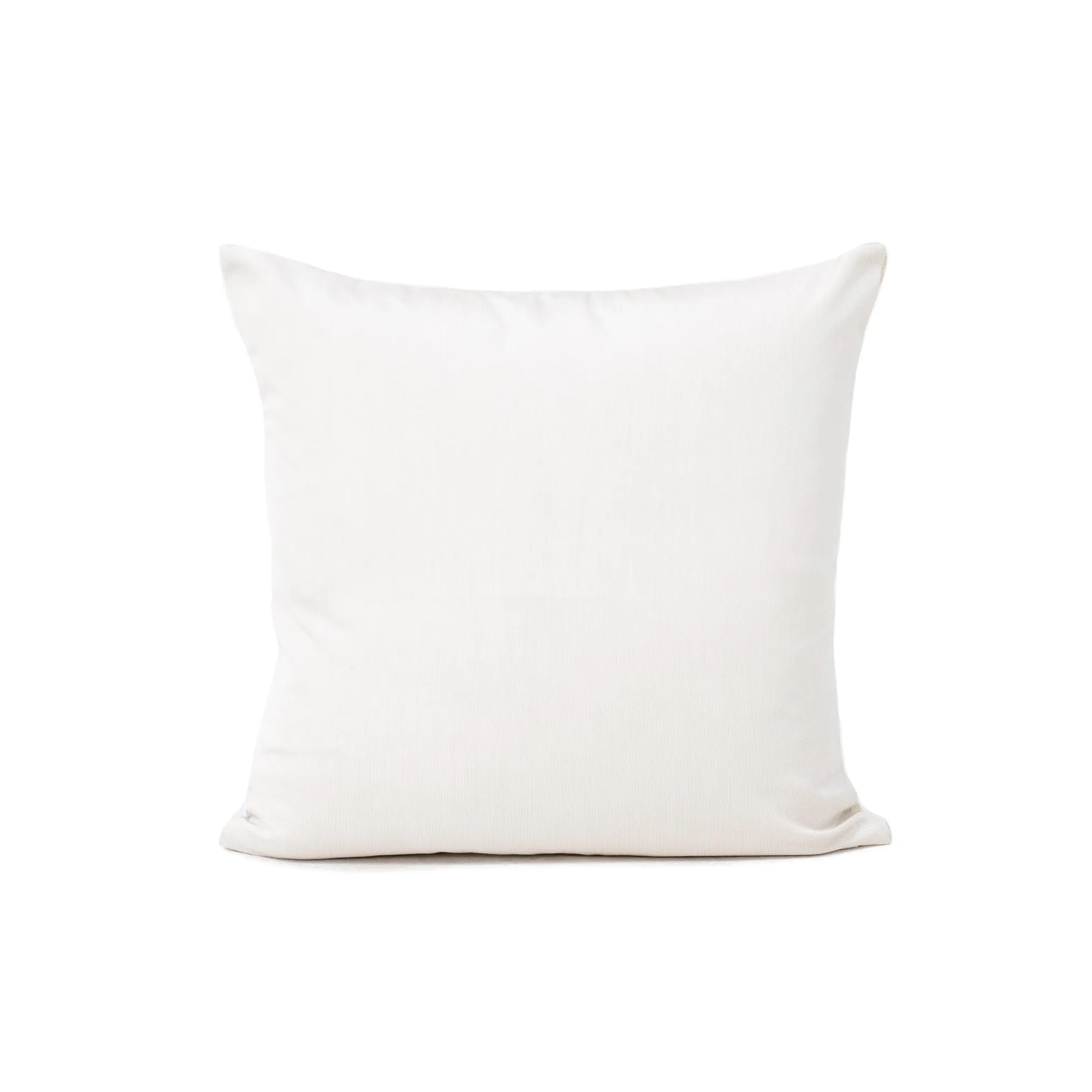 Vigo Indoor/Outdoor Pillow